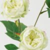 Artificial Flower Little rose 3 simgle stem GS-46322005-G1_8 Artificial Flower 18*18*60cm Little rose *3 simgle stem GS-46322005-G1 Single Flowers YeahFlower is one of Chinese leading OEM manufacturers and exporters , supplying the silk flowers, wholesale artificial trees