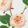 Artificial Flower Little rose 3 simgle stem GS-46322005_2 Artificial Flower 18*18*60cm Little rose *3 simgle stem GS-46322005 Single Flowers YeahFlower is one of Chinese leading OEM manufacturers and exporters , supplying the silk flowers, wholesale artificial trees