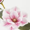 Artificial Flower 23*23*80cm Magnolia single stem GS-64922005-P2 Single Flowers YeahFlower is one of Chinese leading OEM manufacturers and exporters , supplying the silk flowers, wholesale artificial trees