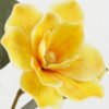 Artificial Flower 23*23*80cm Magnolia single stem GS-64922005-Y1 Single Flowers YeahFlower is one of Chinese leading OEM manufacturers and exporters , supplying the silk flowers, wholesale artificial trees