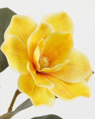 Artificial Flower 23*23*80cm Magnolia single stem GS-64922005-Y1 Single Flowers YeahFlower is one of Chinese leading OEM manufacturers and exporters , supplying the silk flowers, wholesale artificial trees