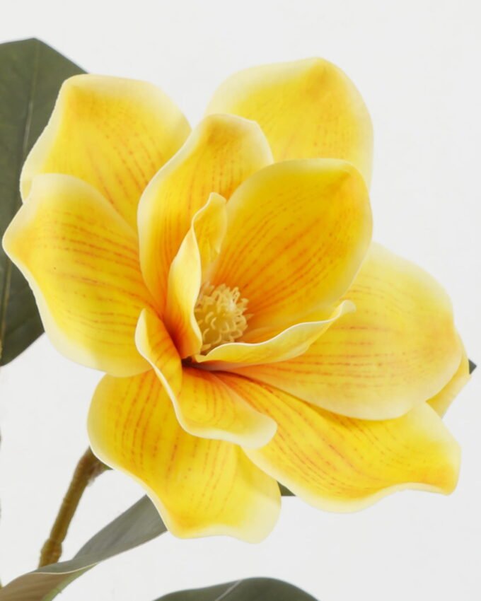 Artificial Flower 23*23*80cm Magnolia single stem GS-64922005-Y1 Single Flowers YeahFlower is one of Chinese leading OEM manufacturers and exporters , supplying the silk flowers, wholesale artificial trees