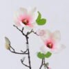Artificial Flower 20*20*77cm Mangnolia *2 single stem GS-53622006-P1 Single Flowers YeahFlower is one of Chinese leading OEM manufacturers and exporters , supplying the silk flowers, wholesale artificial trees