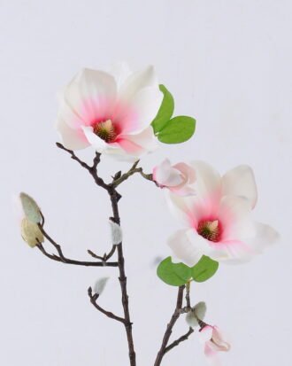 Artificial Flower 20*20*77cm Mangnolia *2 single stem GS-53622006-P1 Single Flowers YeahFlower is one of Chinese leading OEM manufacturers and exporters , supplying the silk flowers, wholesale artificial trees Artificial Flower 20*20*77cm Mangnolia *2 single stem GS-53622006-P1 Single Flowers YeahFlower is one of Chinese leading OEM manufacturers and exporters , supplying the silk flowers, wholesale artificial trees