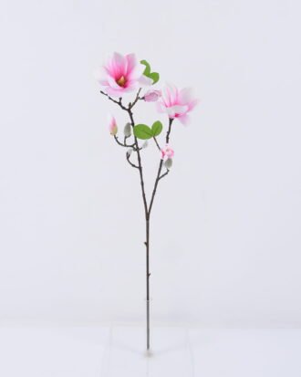 Artificial Flower 20*20*77cm Mangnolia *2 single stem GS-53622006-P2 Single Flowers YeahFlower is one of Chinese leading OEM manufacturers and exporters , supplying the silk flowers, wholesale artificial trees Artificial Flower 20*20*77cm Mangnolia *2 single stem GS-53622006-P2 Single Flowers YeahFlower is one of Chinese leading OEM manufacturers and exporters , supplying the silk flowers, wholesale artificial trees