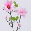 Artificial Flower 20*20*77cm Mangnolia *2 single stem GS-53622006-P2 Single Flowers YeahFlower is one of Chinese leading OEM manufacturers and exporters , supplying the silk flowers, wholesale artificial trees