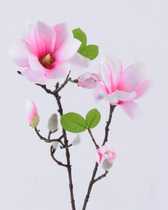 Artificial Flower 20*20*77cm Mangnolia *2 single stem GS-53622006-P2 Single Flowers YeahFlower is one of Chinese leading OEM manufacturers and exporters , supplying the silk flowers, wholesale artificial trees Artificial Flower 20*20*77cm Mangnolia *2 single stem GS-53622006-P2 Single Flowers YeahFlower is one of Chinese leading OEM manufacturers and exporters , supplying the silk flowers, wholesale artificial trees