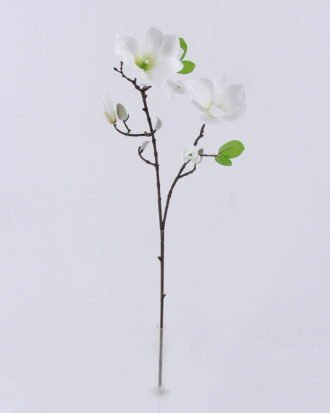 Artificial Flower 20*20*77cm Mangnolia *2 single stem GS-53622006-W1 Single Flowers YeahFlower is one of Chinese leading OEM manufacturers and exporters , supplying the silk flowers, wholesale artificial trees Artificial Flower 20*20*77cm Mangnolia *2 single stem GS-53622006-W1 Single Flowers YeahFlower is one of Chinese leading OEM manufacturers and exporters , supplying the silk flowers, wholesale artificial trees