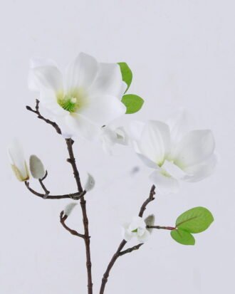 Artificial Flower 20*20*77cm Mangnolia *2 single stem GS-53622006-W1 Single Flowers YeahFlower is one of Chinese leading OEM manufacturers and exporters , supplying the silk flowers, wholesale artificial trees Artificial Flower 20*20*77cm Mangnolia *2 single stem GS-53622006-W1 Single Flowers YeahFlower is one of Chinese leading OEM manufacturers and exporters , supplying the silk flowers, wholesale artificial trees