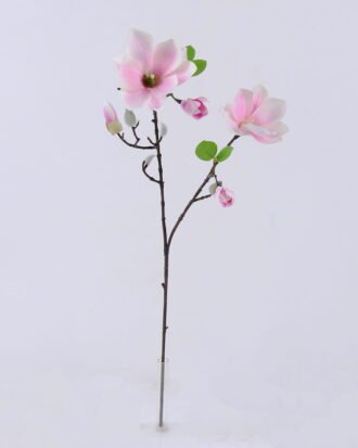 Artificial Flower 20*20*77cm Mangnolia *2 single stem GS-53622006-Z1 Single Flowers YeahFlower is one of Chinese leading OEM manufacturers and exporters , supplying the silk flowers, wholesale artificial trees Artificial Flower 20*20*77cm Mangnolia *2 single stem GS-53622006-Z1 Single Flowers YeahFlower is one of Chinese leading OEM manufacturers and exporters , supplying the silk flowers, wholesale artificial trees