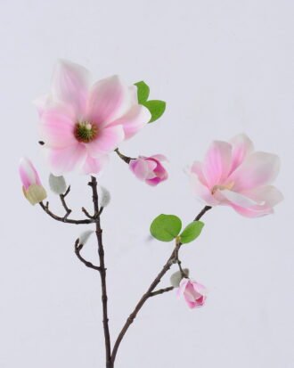 Artificial Flower 20*20*77cm Mangnolia *2 single stem GS-53622006-Z1 Single Flowers YeahFlower is one of Chinese leading OEM manufacturers and exporters , supplying the silk flowers, wholesale artificial trees Artificial Flower 20*20*77cm Mangnolia *2 single stem GS-53622006-Z1 Single Flowers YeahFlower is one of Chinese leading OEM manufacturers and exporters , supplying the silk flowers, wholesale artificial trees