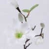Artificial Flower 14*14*50cm Mangnolia single stem GS-53622007 Single Flowers YeahFlower is one of Chinese leading OEM manufacturers and exporters , supplying the silk flowers, wholesale artificial trees