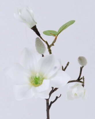 Artificial Flower 14*14*50cm Mangnolia single stem GS-53622007 Single Flowers YeahFlower is one of Chinese leading OEM manufacturers and exporters , supplying the silk flowers, wholesale artificial trees Artificial Flower 14*14*50cm Mangnolia single stem GS-53622007 Single Flowers YeahFlower is one of Chinese leading OEM manufacturers and exporters , supplying the silk flowers, wholesale artificial trees