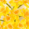 Artificial Flower 17*17*51cm Narcissu *15  bundle GS-31322007-Y1 Single Flowers YeahFlower is one of Chinese leading OEM manufacturers and exporters , supplying the silk flowers, wholesale artificial trees