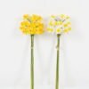 Artificial Flower 17*17*51cm Narcissu *15  bundle GS-31322007 Single Flowers YeahFlower is one of Chinese leading OEM manufacturers and exporters , supplying the silk flowers, wholesale artificial trees
