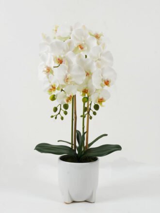 Artificial Flower 23*20*16.5cm Leaves in PP pot GS-03322107 Potted Flowers&Plants 3,000+ sqm showroom with thousands of artificial flowers, plants & trees ready for global sourcing.