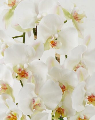 Artificial Flower 20*18*64cm Orchid*3 in ceramic pot GS-22220010 Potted Flowers&Plants YeahFlower is one of Chinese leading OEM manufacturers and exporters , supplying the silk flowers, wholesale artificial trees