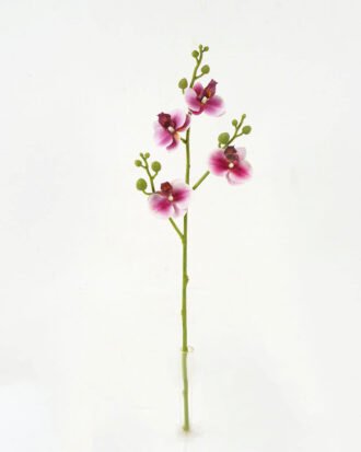 Artificial Flower 13*13*56cm Orchid leaf single stem GS-64922013-P2 Single Flowers YeahFlower is one of Chinese leading OEM manufacturers and exporters , supplying the silk flowers, wholesale artificial trees
