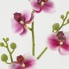 Artificial Flower 13*13*56cm Orchid leaf single stem GS-64922013-P2 Single Flowers YeahFlower is one of Chinese leading OEM manufacturers and exporters , supplying the silk flowers, wholesale artificial trees