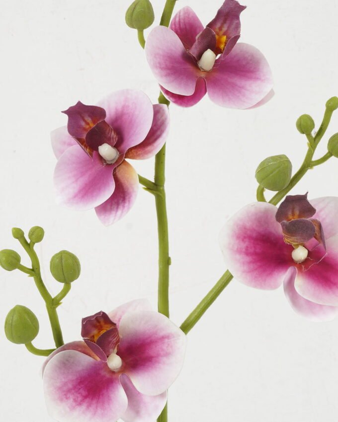 Artificial Flower 13*13*56cm Orchid leaf single stem GS-64922013-P2 Single Flowers YeahFlower is one of Chinese leading OEM manufacturers and exporters , supplying the silk flowers, wholesale artificial trees