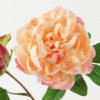 Artificial Flower 25*25*71cm Peony *2 single stem GS-46322003-C2 Single Flowers YeahFlower is one of Chinese leading OEM manufacturers and exporters , supplying the silk flowers, wholesale artificial trees