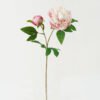 Artificial Flower 25*25*71cm Peony *2 single stem GS-46322003-P2 Single Flowers YeahFlower is one of Chinese leading OEM manufacturers and exporters , supplying the silk flowers, wholesale artificial trees