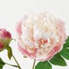 Artificial Flower 25*25*71cm Peony *2 single stem GS-46322003-P2 Single Flowers YeahFlower is one of Chinese leading OEM manufacturers and exporters , supplying the silk flowers, wholesale artificial trees