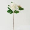 Artificial Flower 25*25*71cm Peony *2 single stem GS-46322003-W2 Single Flowers YeahFlower is one of Chinese leading OEM manufacturers and exporters , supplying the silk flowers, wholesale artificial trees