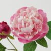Artificial Flower 25*25*71cm Peony *2 single stem GS-46322003 Single Flowers YeahFlower is one of Chinese leading OEM manufacturers and exporters , supplying the silk flowers, wholesale artificial trees