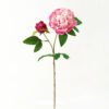 Artificial Flower 25*25*71cm Peony *2 single stem GS-46322003 Single Flowers YeahFlower is one of Chinese leading OEM manufacturers and exporters , supplying the silk flowers, wholesale artificial trees