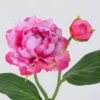 Artificial Flower 16*16*34cm Peony *2 single stem GS-53622005 Single Flowers YeahFlower is one of Chinese leading OEM manufacturers and exporters , supplying the silk flowers, wholesale artificial trees