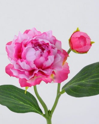 Artificial Flower 16*16*34cm Peony *2 single stem GS-53622005 Single Flowers YeahFlower is one of Chinese leading OEM manufacturers and exporters , supplying the silk flowers, wholesale artificial trees Artificial Flower 16*16*34cm Peony *2 single stem GS-53622005 Single Flowers YeahFlower is one of Chinese leading OEM manufacturers and exporters , supplying the silk flowers, wholesale artificial trees