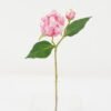 Artificial Flower 21*21*44cm Peony *2 single stem GS-53622010-P4 Single Flowers YeahFlower is one of Chinese leading OEM manufacturers and exporters , supplying the silk flowers, wholesale artificial trees