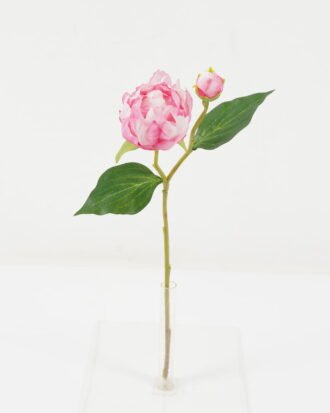 Artificial Flower 21*21*44cm Peony *2 single stem GS-53622010-P4 Single Flowers YeahFlower is one of Chinese leading OEM manufacturers and exporters , supplying the silk flowers, wholesale artificial trees Artificial Flower 21*21*44cm Peony *2 single stem GS-53622010-P4 Single Flowers YeahFlower is one of Chinese leading OEM manufacturers and exporters , supplying the silk flowers, wholesale artificial trees