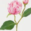 Artificial Flower 21*21*44cm Peony *2 single stem GS-53622010-P4 Single Flowers YeahFlower is one of Chinese leading OEM manufacturers and exporters , supplying the silk flowers, wholesale artificial trees