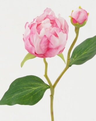 Artificial Flower 21*21*44cm Peony *2 single stem GS-53622010-P4 Single Flowers YeahFlower is one of Chinese leading OEM manufacturers and exporters , supplying the silk flowers, wholesale artificial trees Artificial Flower 21*21*44cm Peony *2 single stem GS-53622010-P4 Single Flowers YeahFlower is one of Chinese leading OEM manufacturers and exporters , supplying the silk flowers, wholesale artificial trees