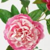Artificial Flower Peony 3 single stem GS-46322002-P1_8 Artificial Flower 25*25*74cm Peony *3 single stem GS-46322002-P1 Single Flowers YeahFlower is one of Chinese leading OEM manufacturers and exporters , supplying the silk flowers, wholesale artificial trees