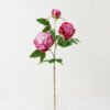 Artificial Flower 25*25*74cm Peony *3 single stem GS-46322002-R2 Single Flowers YeahFlower is one of Chinese leading OEM manufacturers and exporters , supplying the silk flowers, wholesale artificial trees