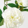 Artificial Flower 25*25*74cm Peony *3 single stem GS-46322002-W1 Single Flowers YeahFlower is one of Chinese leading OEM manufacturers and exporters , supplying the silk flowers, wholesale artificial trees