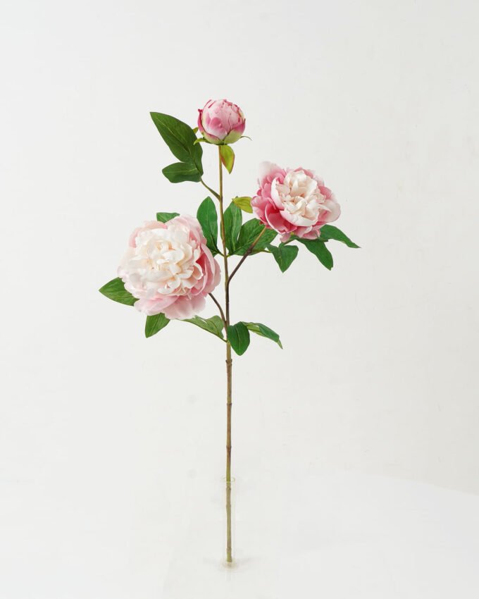 Artificial Flower 25*25*74cm Peony *3 single stem GS-46322002 Single Flowers YeahFlower is one of Chinese leading OEM manufacturers and exporters , supplying the silk flowers, wholesale artificial trees
