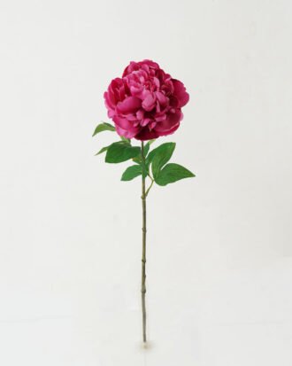 Artificial Flower 20*20*62cm Peony single stem GS-46322001-R1 Single Flowers YeahFlower is one of Chinese leading OEM manufacturers and exporters , supplying the silk flowers, wholesale artificial trees
