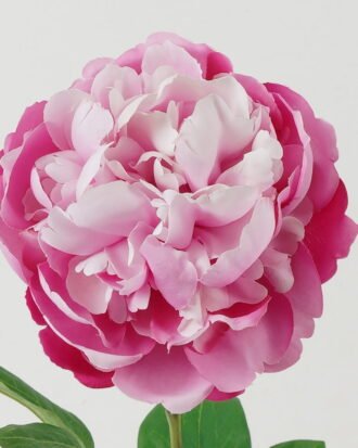 Artificial Flower 20*20*63cm Peony single stem GS-46322001-R2 Single Flowers YeahFlower is one of Chinese leading OEM manufacturers and exporters , supplying the silk flowers, wholesale artificial trees