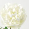 Artificial Flower 20*20*67cm Peony single stem GS-46322001-W1 Single Flowers YeahFlower is one of Chinese leading OEM manufacturers and exporters , supplying the silk flowers, wholesale artificial trees