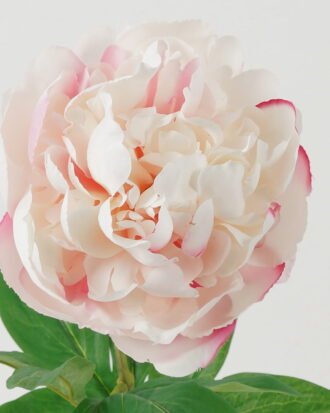 Artificial Flower 20*20*68cm Peony single stem GS-46322001-W4 Single Flowers YeahFlower is one of Chinese leading OEM manufacturers and exporters , supplying the silk flowers, wholesale artificial trees