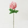 Artificial Flower 20*20*62cm Peony single stem GS-46322001 Single Flowers YeahFlower is one of Chinese leading OEM manufacturers and exporters , supplying the silk flowers, wholesale artificial trees