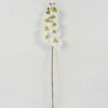 Artificial Flower 17*17*100cm Phalaenopsis *9 single stem GS-31322001 Single Flowers YeahFlower is one of Chinese leading OEM manufacturers and exporters , supplying the silk flowers, wholesale artificial trees