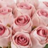 Artificial Flower Rose 12 bundle GS-62422001-P2_8 Artificial Flower 17*17*28cm Rose *12 bundle GS-62422001-P2 Bouquet YeahFlower is one of Chinese leading OEM manufacturers and exporters , supplying the silk flowers, wholesale artificial trees