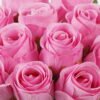 Artificial Flower Rose 12 bundle GS-62422001_2 Artificial Flower 17*17*28cm Rose *12 bundle GS-62422001 Bouquet YeahFlower is one of Chinese leading OEM manufacturers and exporters , supplying the silk flowers, wholesale artificial trees