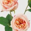 Artificial Flower 20*20*61cm Rose *3 single stem GS-46322006-C3 Single Flowers YeahFlower is one of Chinese leading OEM manufacturers and exporters , supplying the silk flowers, wholesale artificial trees