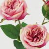 Artificial Flower Rose 3 single stem GS-46322006-P3_8 Artificial Flower 20*20*61cm Rose *3 single stem GS-46322006-P3 Single Flowers YeahFlower is one of Chinese leading OEM manufacturers and exporters , supplying the silk flowers, wholesale artificial trees
